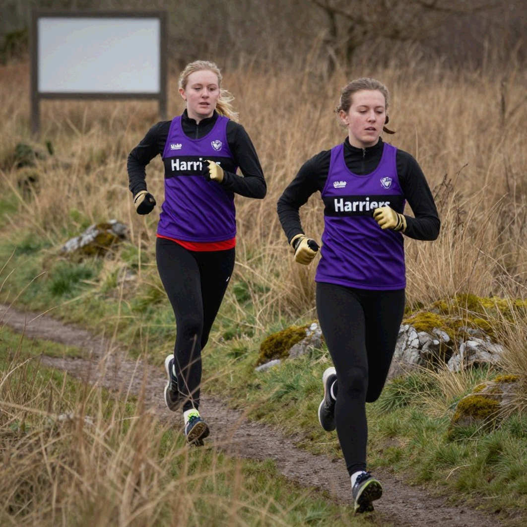 Missing a Wind Reading, an Entire Athletics Season Gets Misread