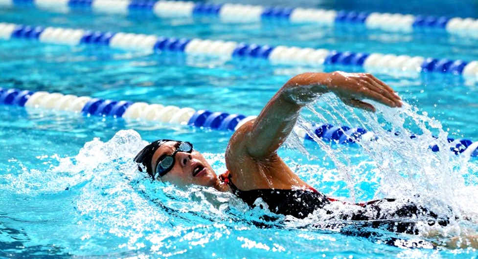 Haughey tỏa sáng, Hồng Kông chèn chân vào top 3 bơi Asian Games: Kỷ luật không nằm ở bảng thành tích