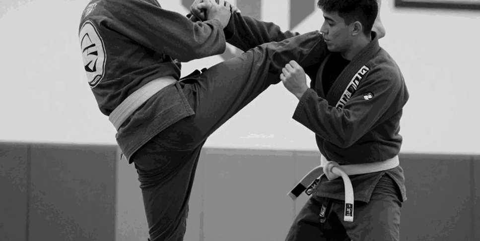 Data Voids in Martial Arts: When Silence Is Also a Strike Data Voids in Martial Arts: When Silence Is Also a Strike